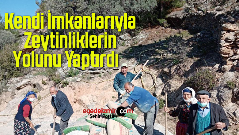 zeytinliklerin