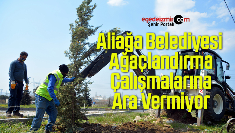 ağaçlandırma