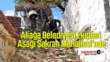 Bakım ve Yenileme Çalışmaları Aşağı Şakran’da Devam Ediyor