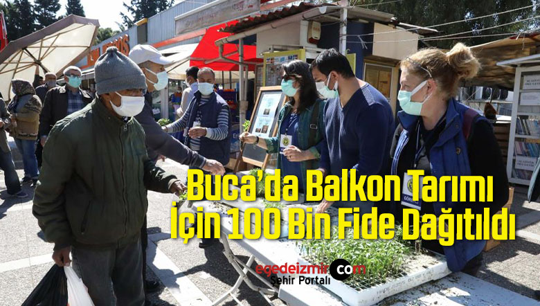 balkon tarımı