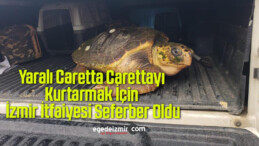 Yaralı Caretta Carettayı Kurtarmak İçin İzmir İtfaiyesi Seferber Oldu