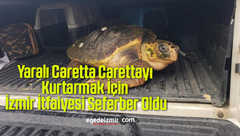caretta carettayı