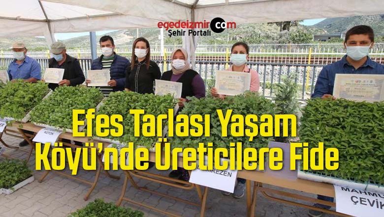 efes tarlası