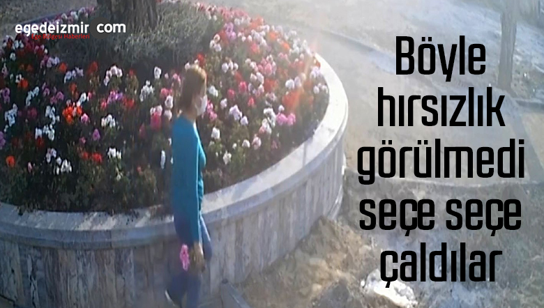 hırsızlık