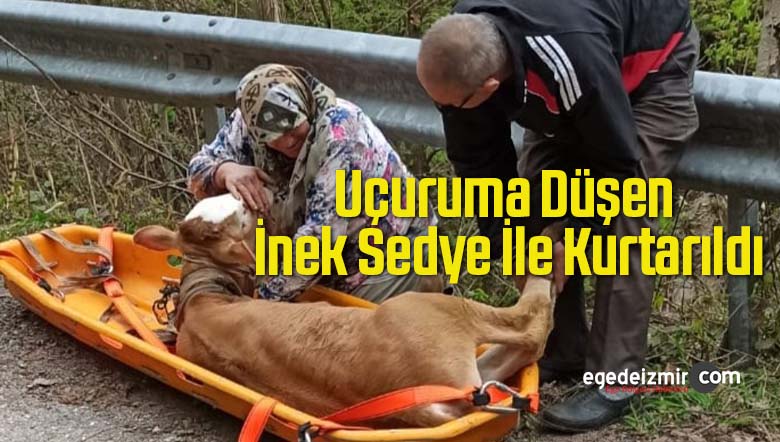 inek