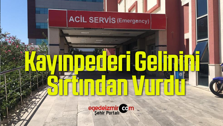kayınpederi gelinini