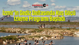 İzmir’in Gediz Deltasında Kuş Göçü İzleme Programı Başladı