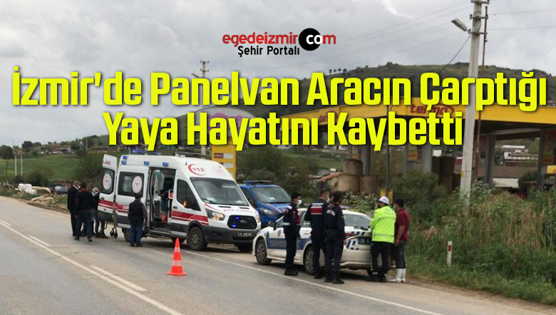 panelvan aracın