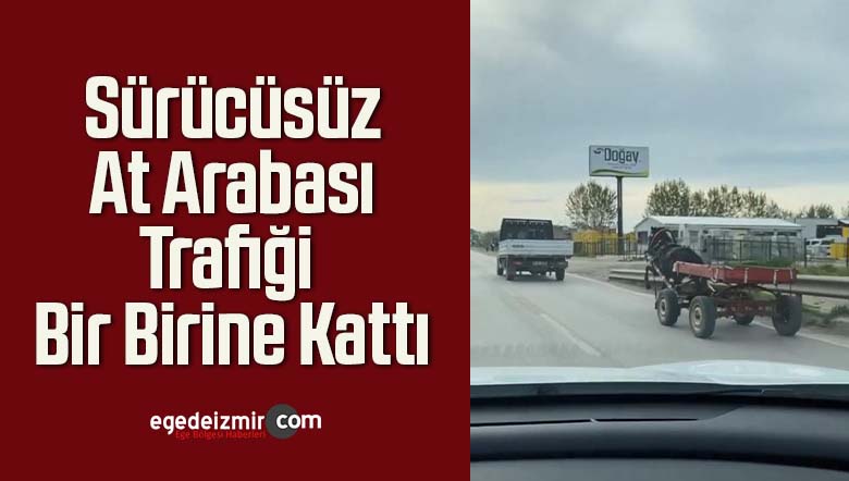 sürücüsüz