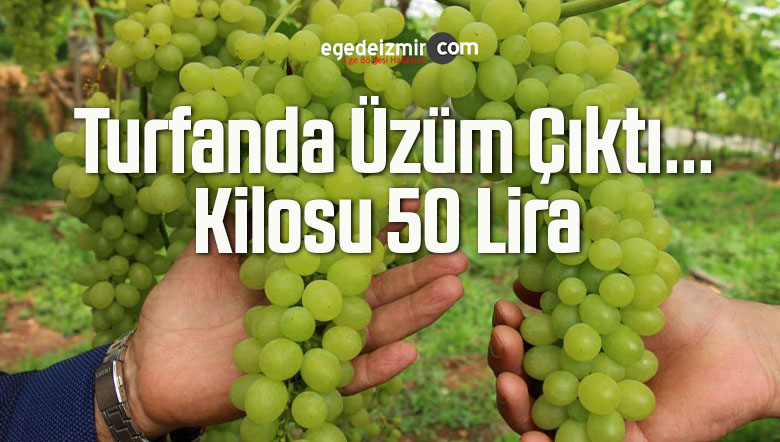 turfanda