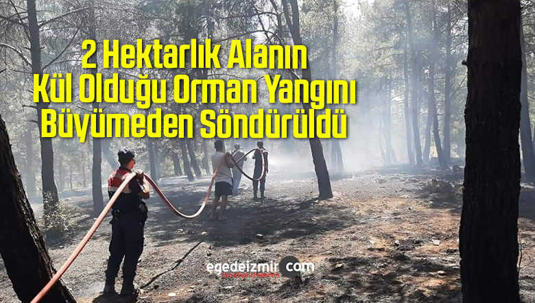 2 hektarlık