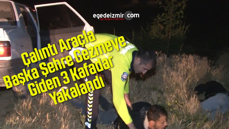 3 kafadar