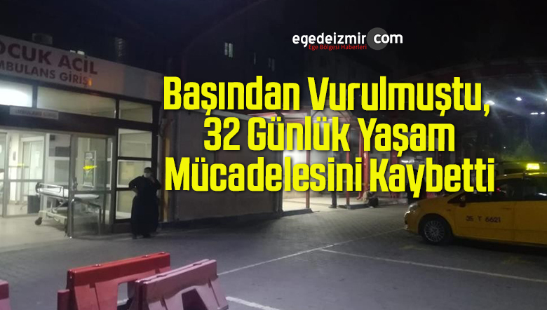 32 günlük
