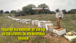 Yaşanan kuraklıktan arı varlığı ve bal üretimi de etkilenmeye başladı