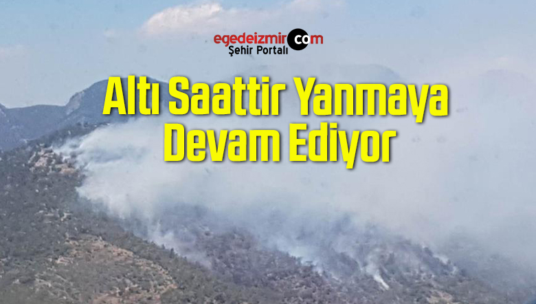 altı saattir