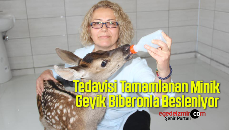 biberonla