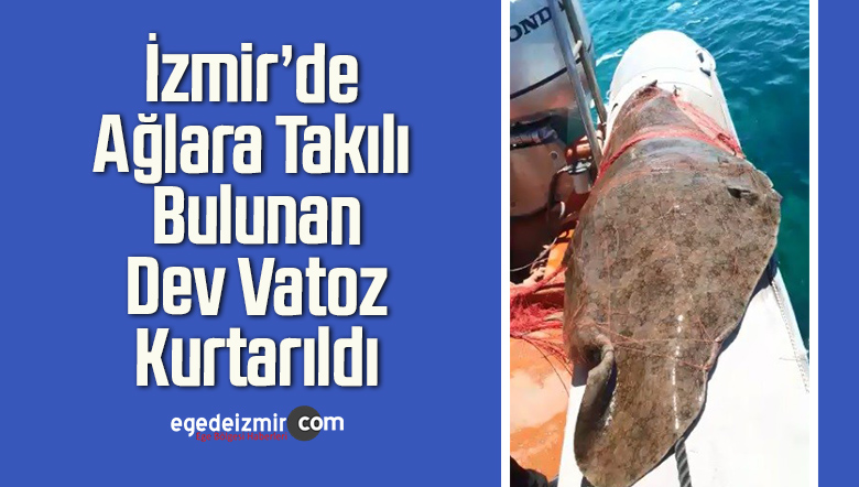 dev vatoz
