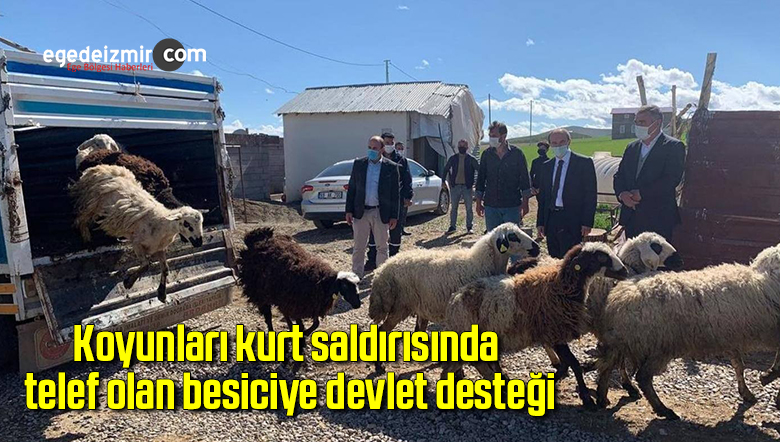 devlet
