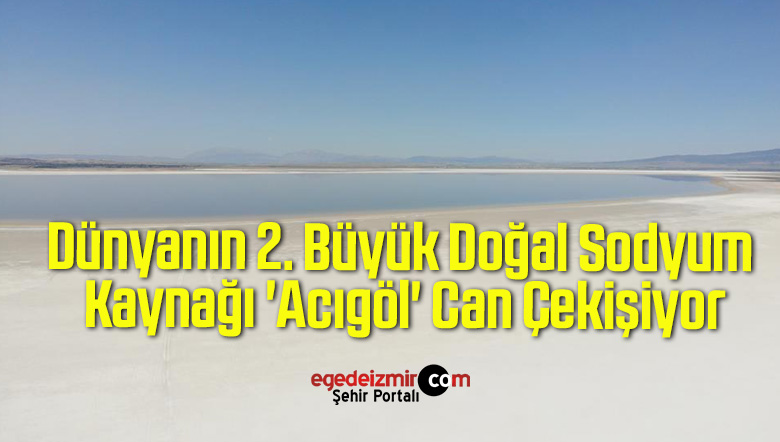 doğal sodyum