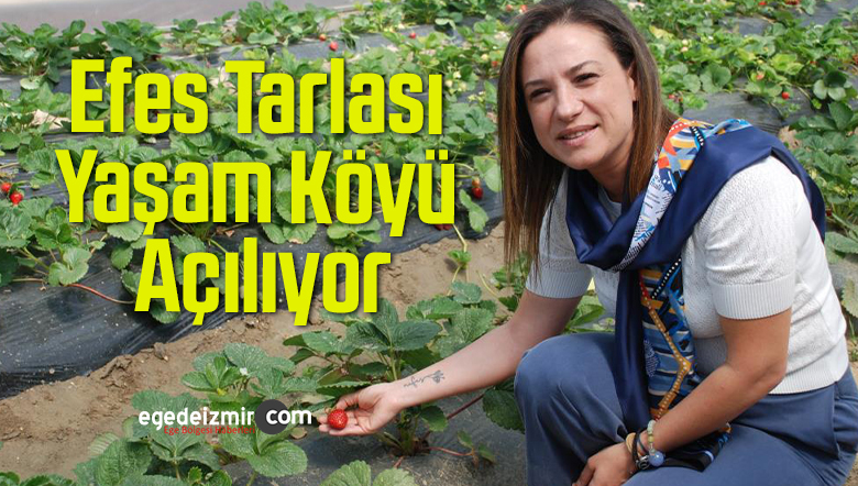 efes tarlası