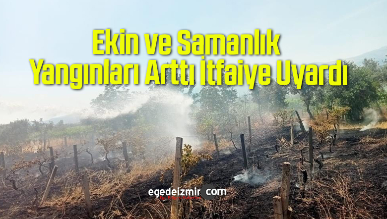 ekin