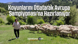 Koyunlarını Otlatarak Avrupa Şampiyonası’na Hazırlanıyor