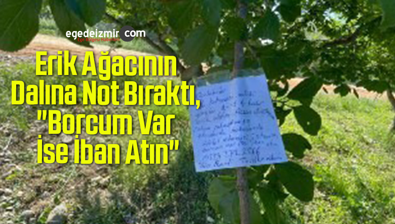 iban atın