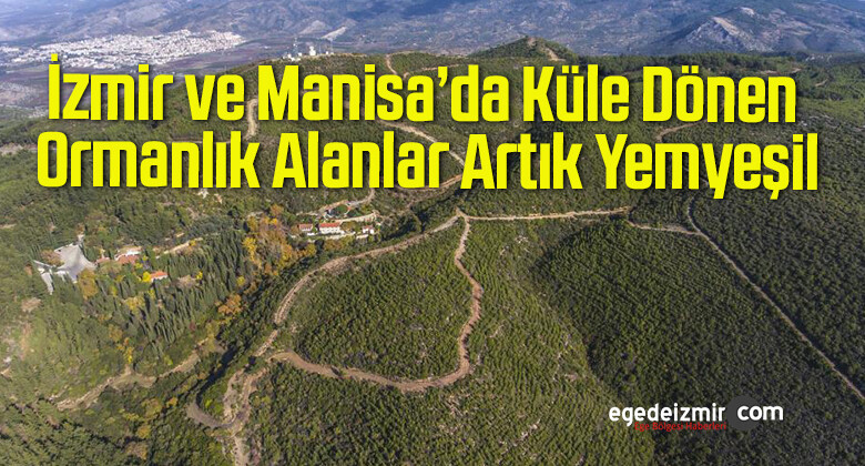 İzmir ve Manisa’da Küle Dönen Ormanlık Alanlar Artık Yemyeşil