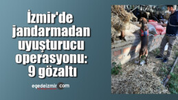 İzmir’de jandarmadan uyuşturucu operasyonu: 9 gözaltı