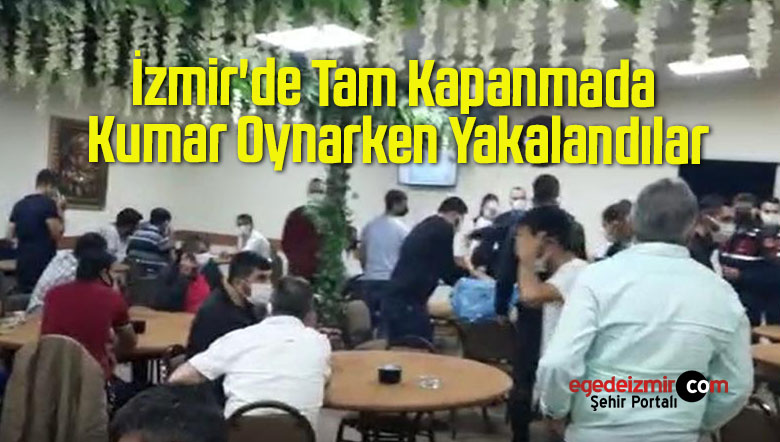 kumar oynarken