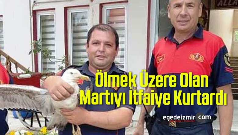 ölmek üzere