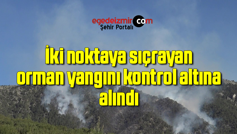 orman