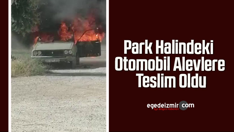 park halindeki