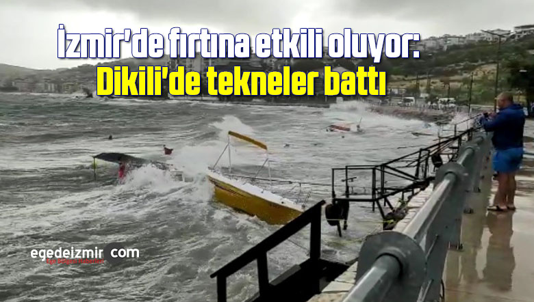 tekne