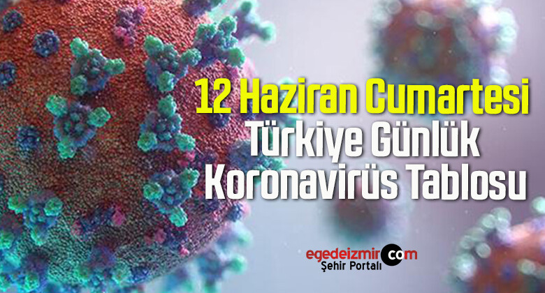 12 Haziran Cumartesi Türkiye Günlük Koronavirüs Tablosu