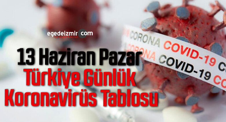 13 Haziran Pazar Türkiye Günlük Koronavirüs Tablosu
