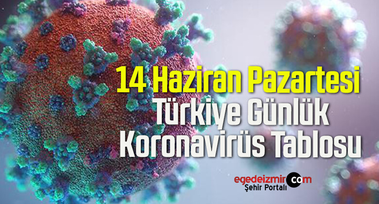 14 Haziran Pazartesi Türkiye Günlük Koronavirüs Tablosu