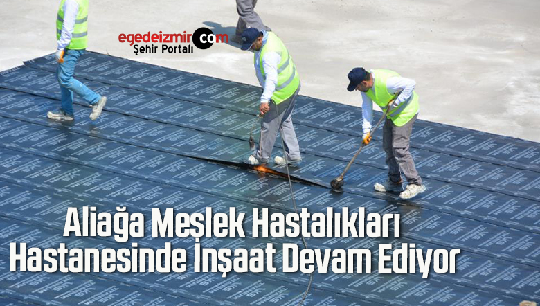 Meslek Hastalıkları