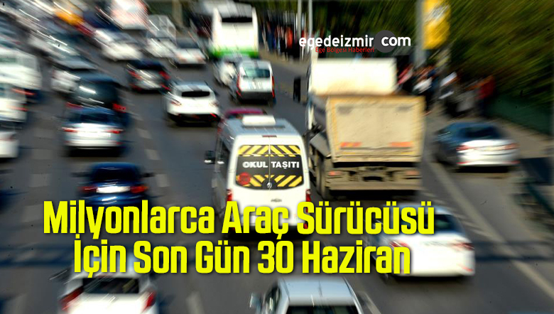 araç sürücüsü