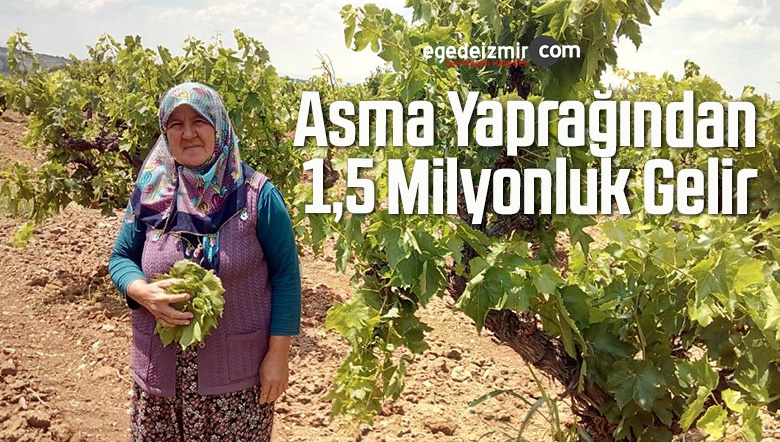 asma yaprağından