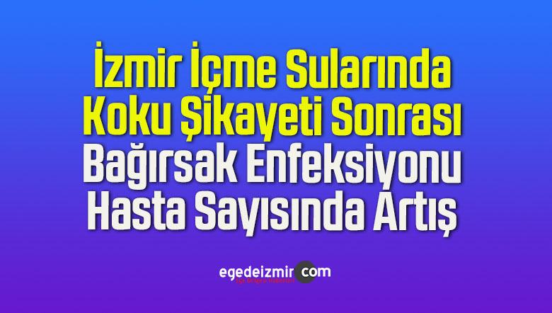 bağırsak enfeksiyonu