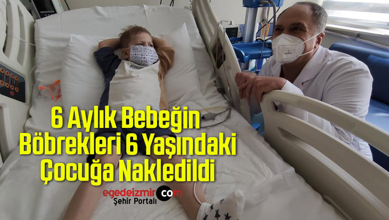 böbrekleri