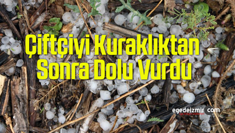 çiftçiyi