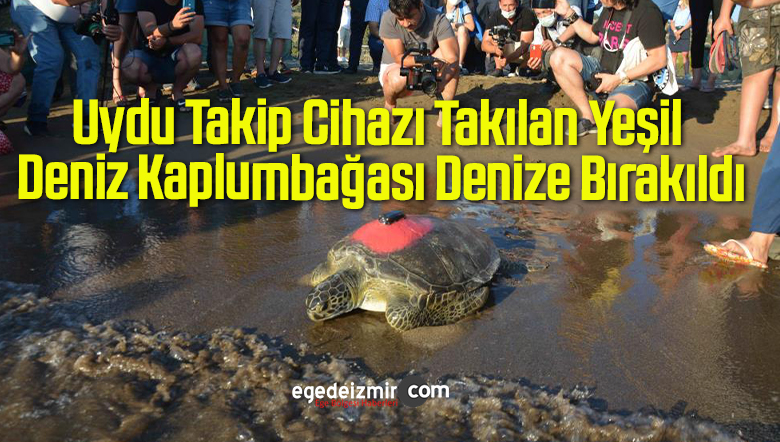 denize bırakıldı