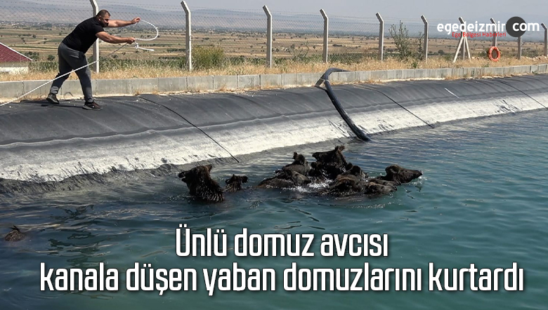 domöuz