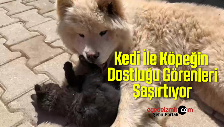 dostluğu