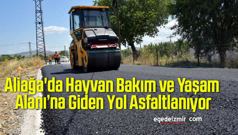 hayvan bakım