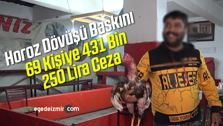 horoz dövüşü