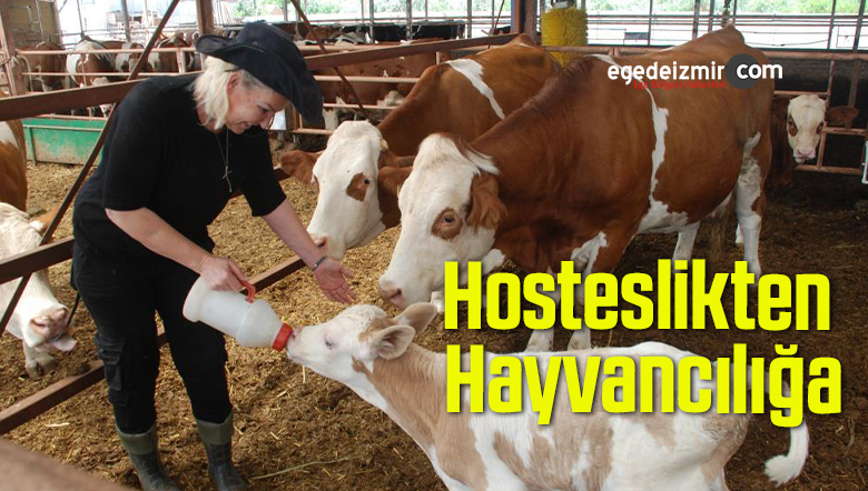 hostes