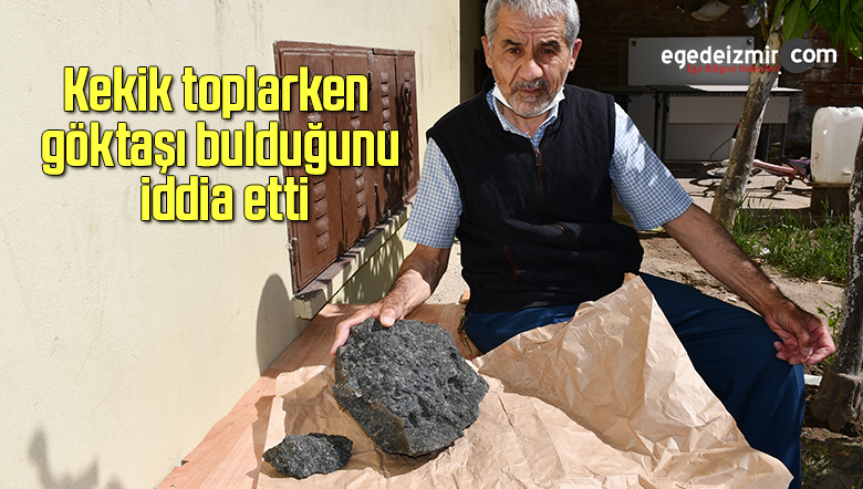 kekik